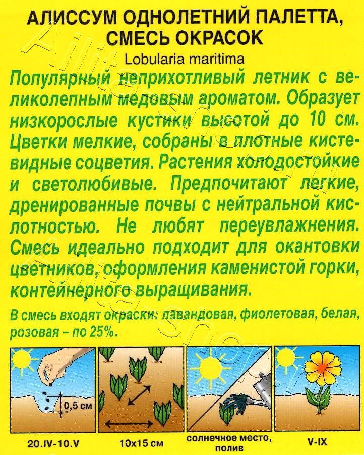 Алиссум Палетта, смесь окрасок 0,03г