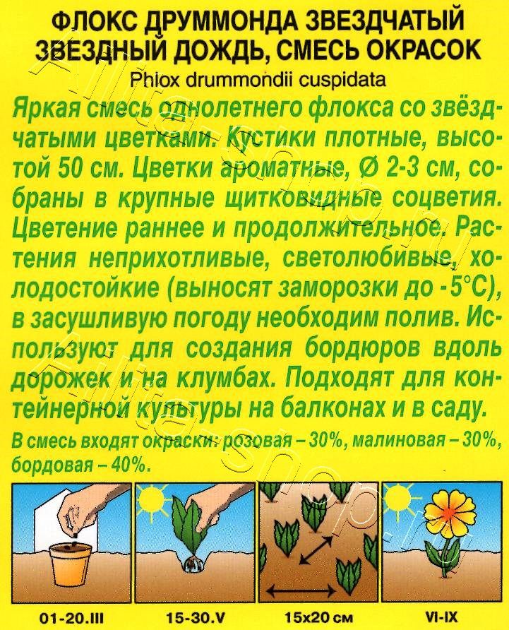 Флокс Звездный дождь, смесь окрасок 0,2г