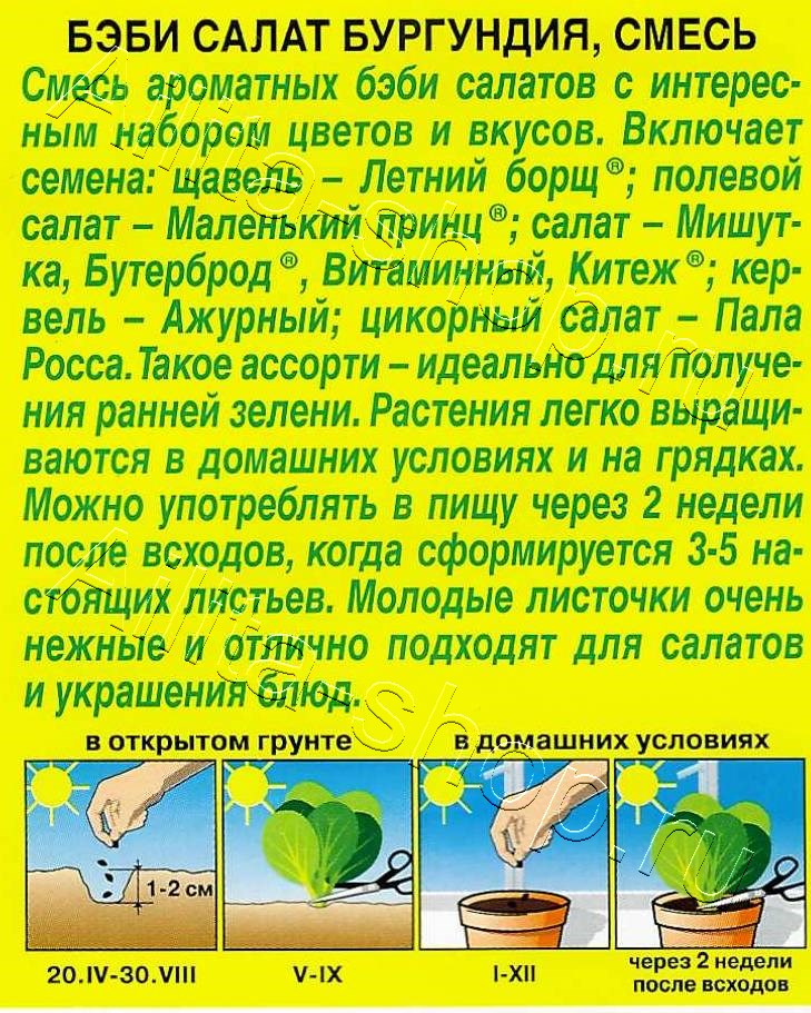 Бэби салат Бургундия смесь 0,5г