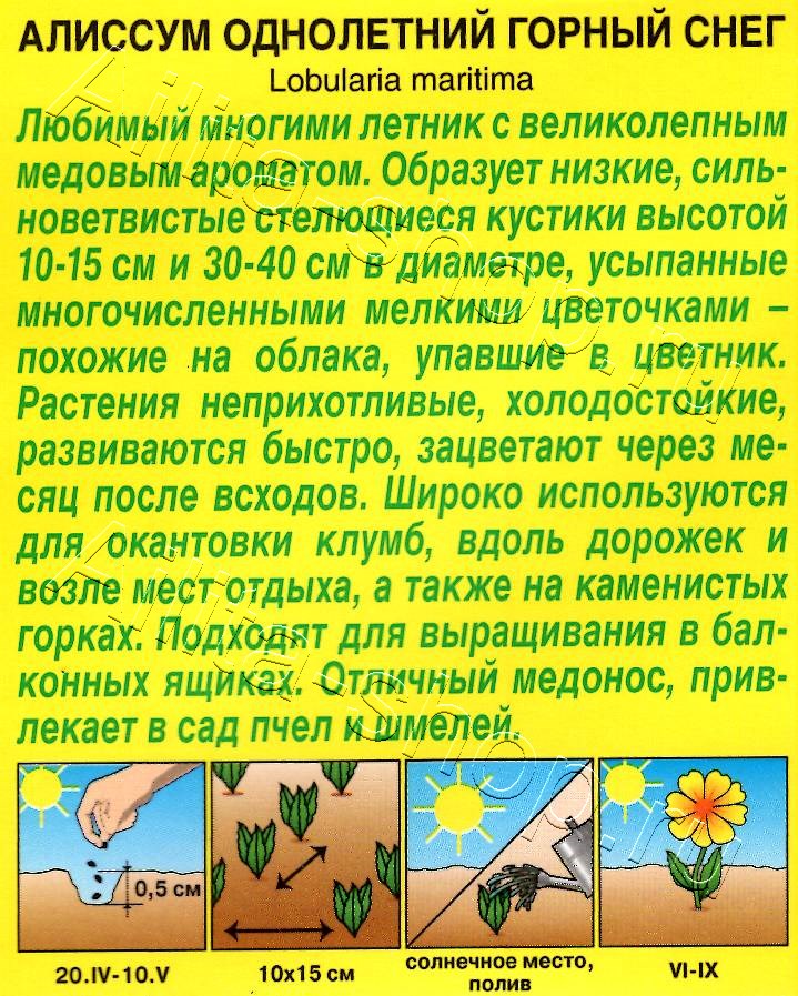 Алиссум Горный снег 0,05г