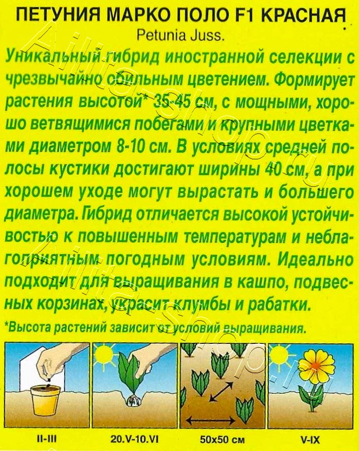 Петуния Марко Поло F1 красная 7шт