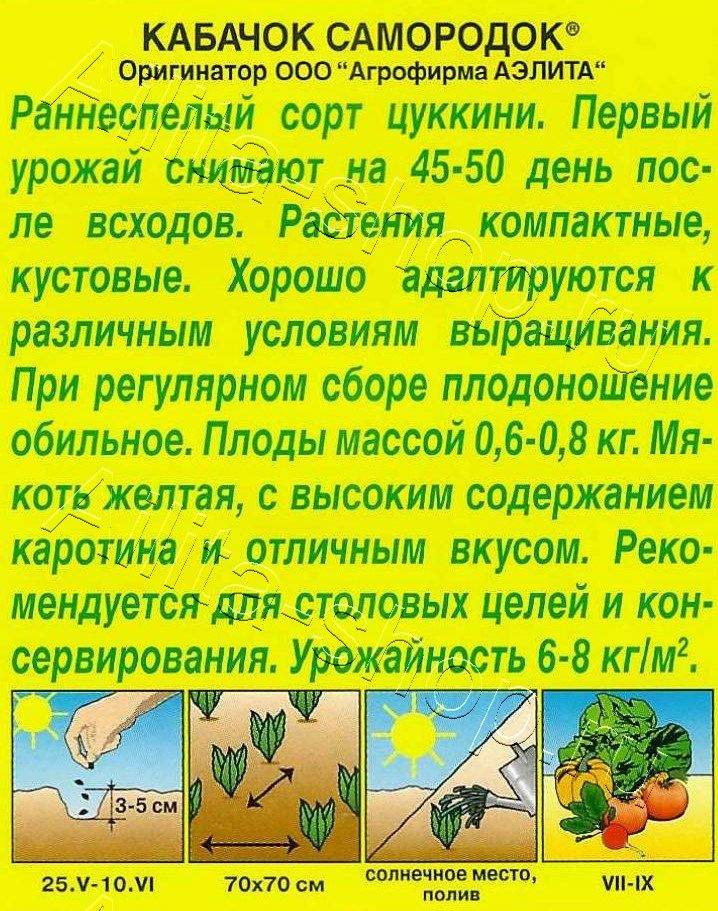 Кабачок цуккини Самородок 1г