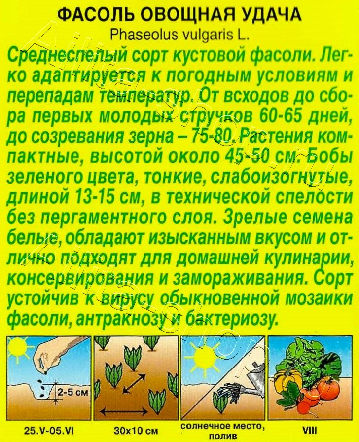 Фасоль овощная Удача 5г