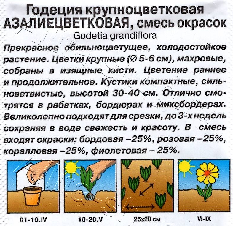Годеция азалиецветковая махровая, смесь сортов 0,05г