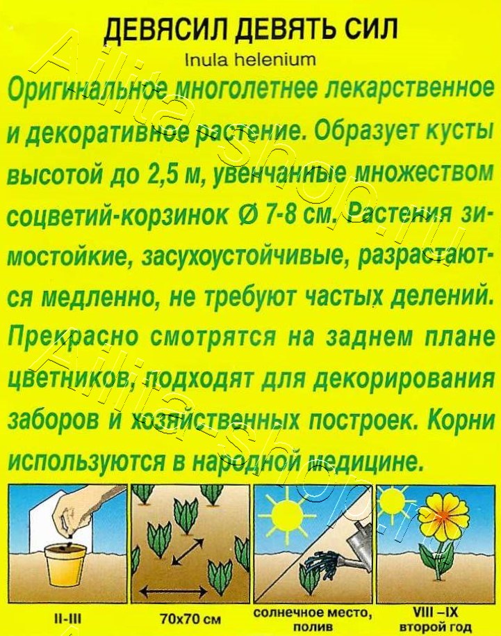 Девясил Девять сил 15шт