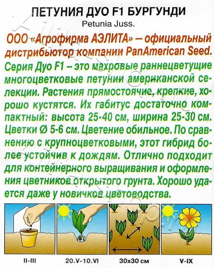Петуния Бургунди F1 махровая Дуо 5шт