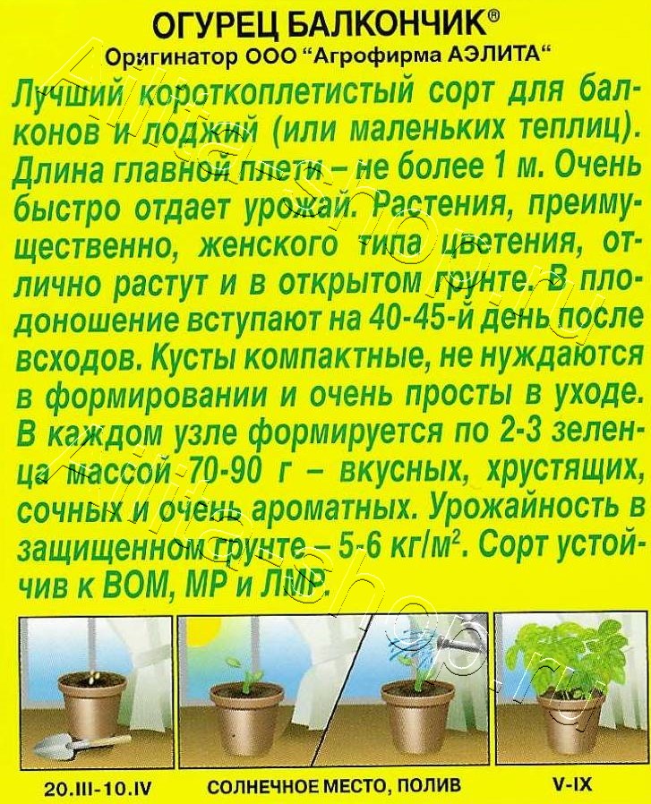 Огурец Балкончик F1 10шт