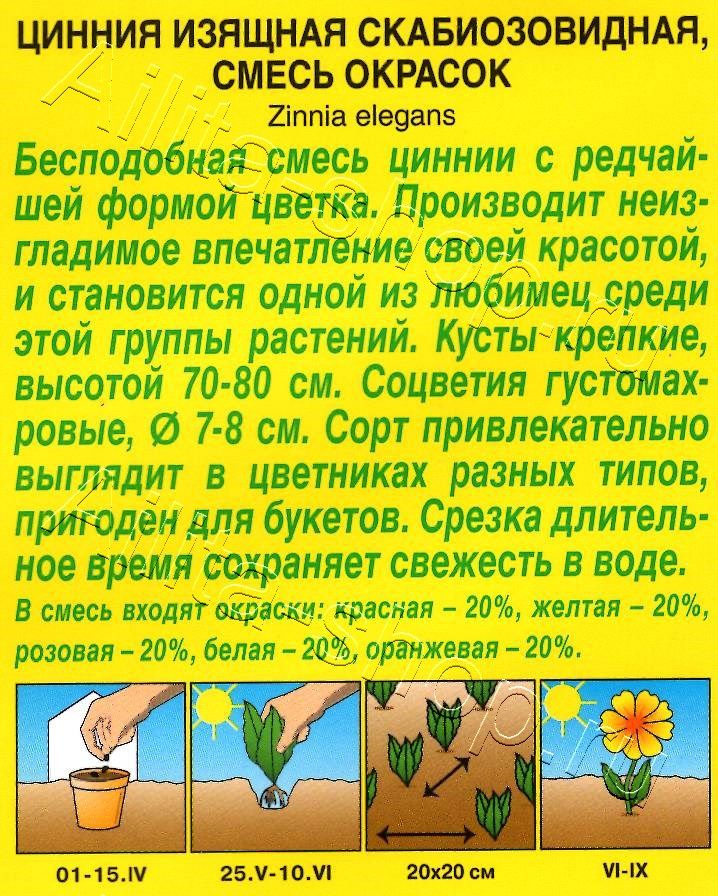 Цинния Скабиозовидная, смесь окрасок 0,3г