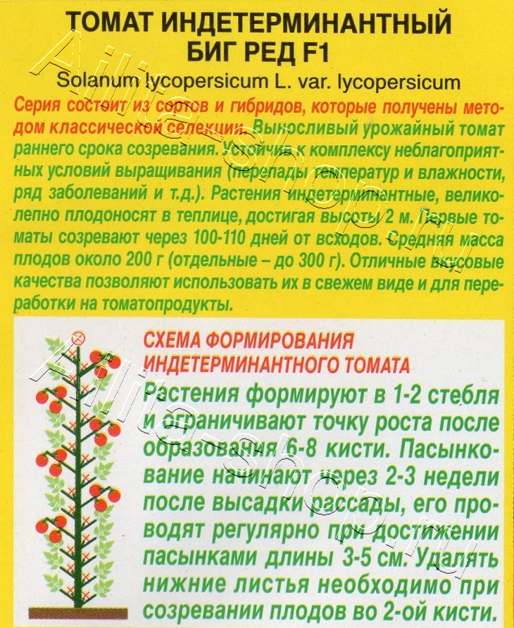 Томат Биг ред F1 10шт