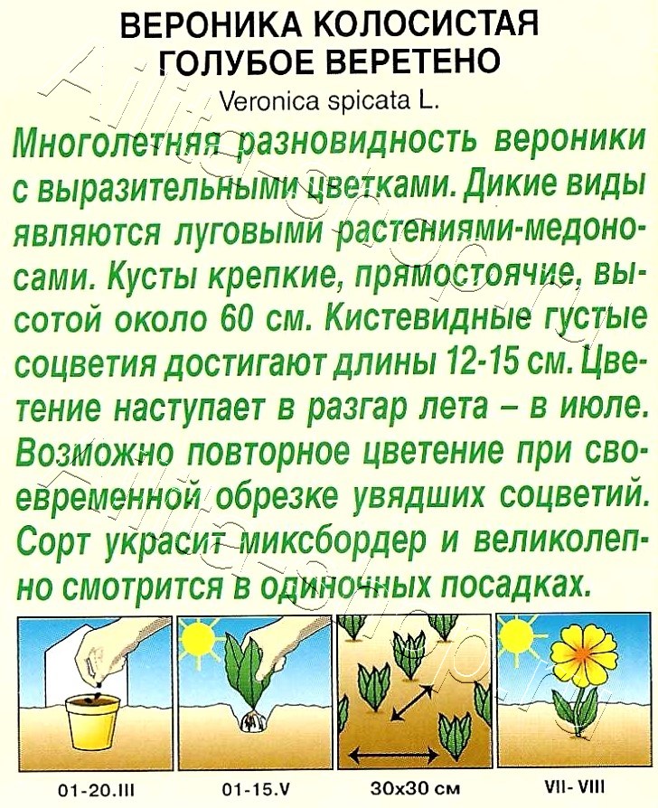 Вероника Голубое веретено 0,05г