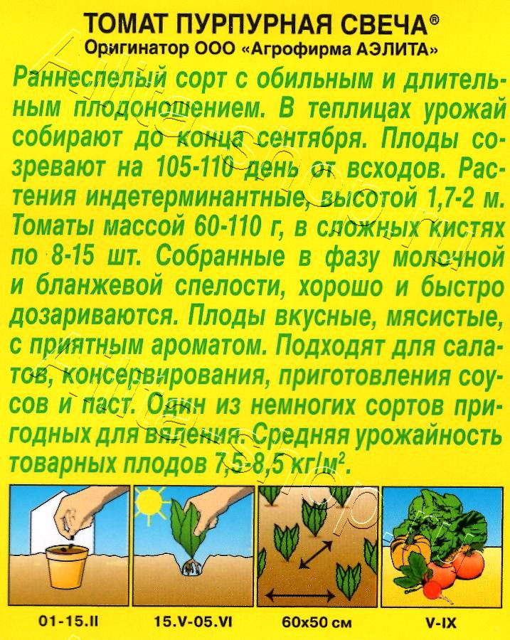 Томат Пурпурная свеча 20шт