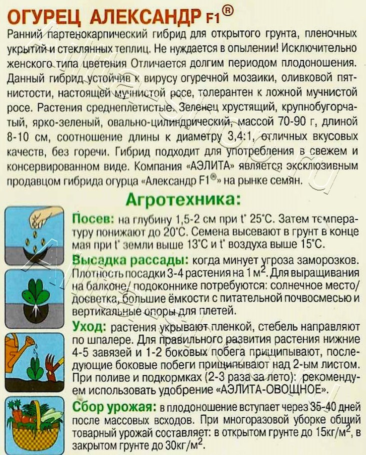 Огурец Александр F1 0,25г