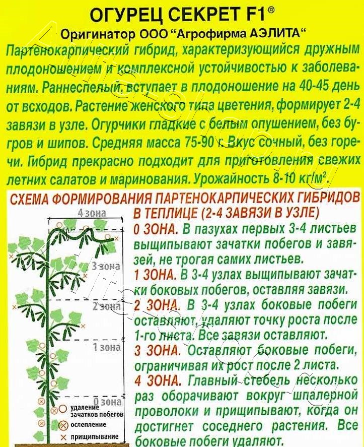 Огурец Секрет F1 10шт