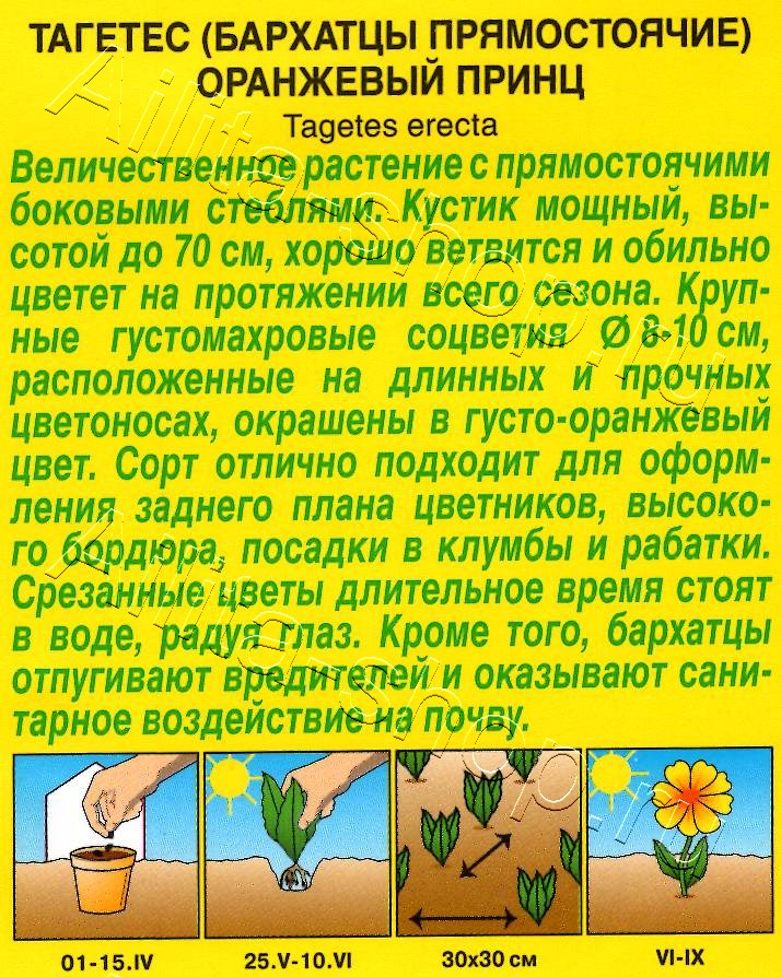 Бархатцы Оранжевый принц 0,1г