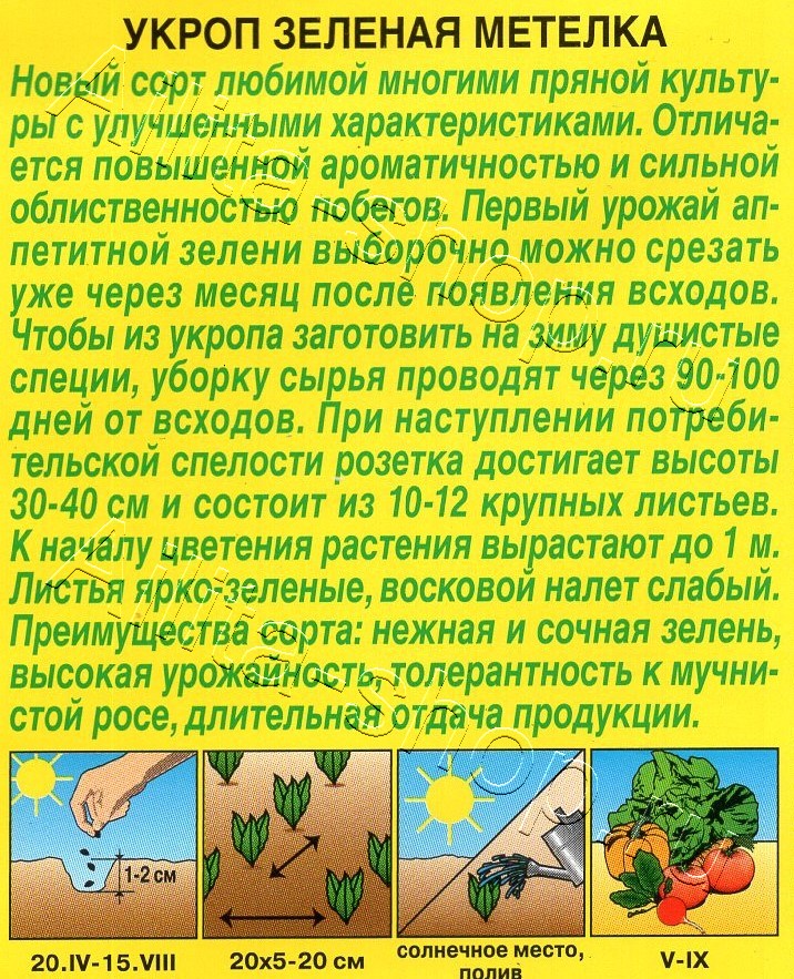 Укроп Зеленая метелка 3г