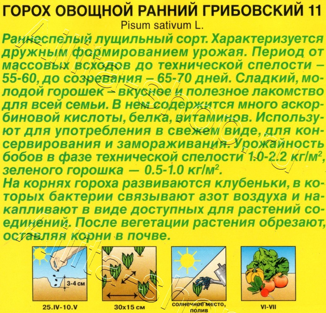 Горох овощной Ранний грибовский 11 25г