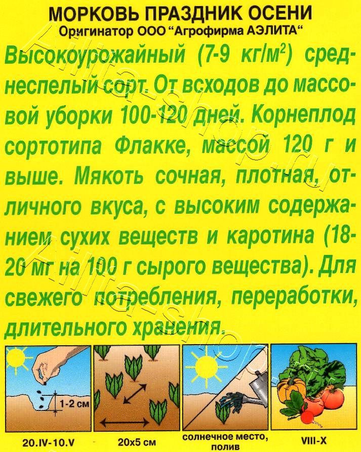 Морковь Праздник осени 2г