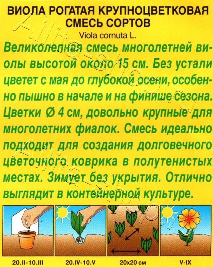 Виола Крупноцветковая, смесь сортов 20шт