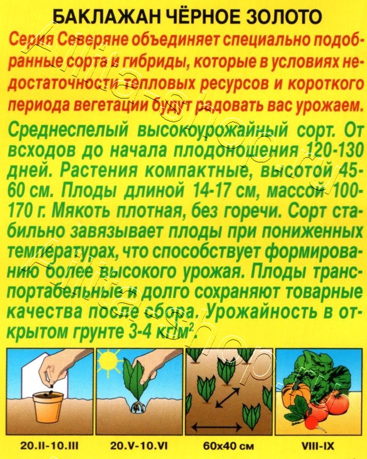 Баклажан Черное золото 0,3г