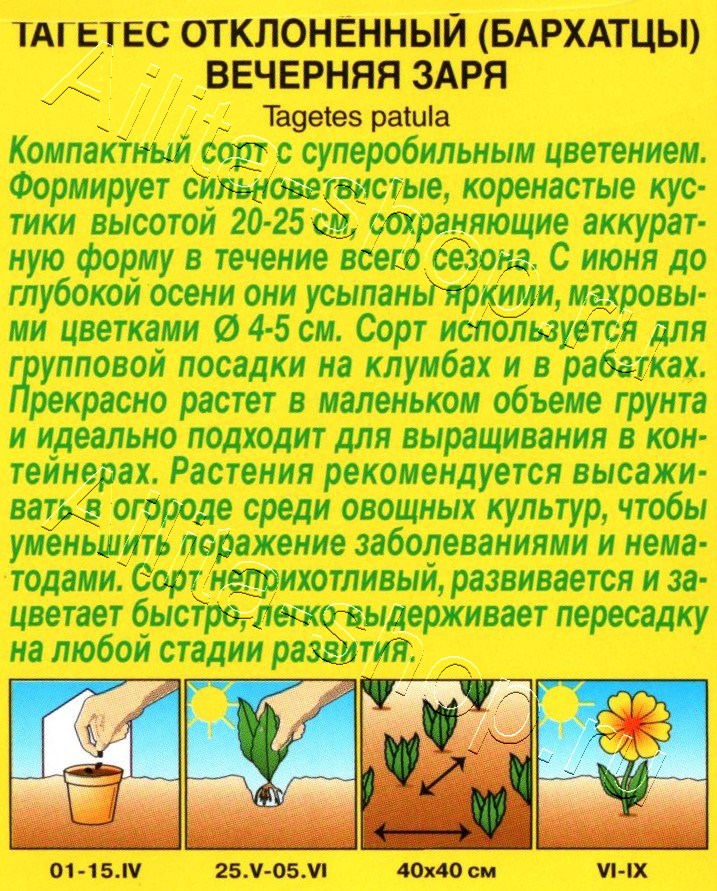 Бархатцы Вечерняя заря отклоненные 0,3г