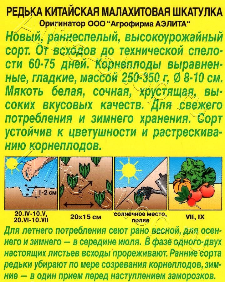 Редька китайская Малахитовая шкатулка 1г