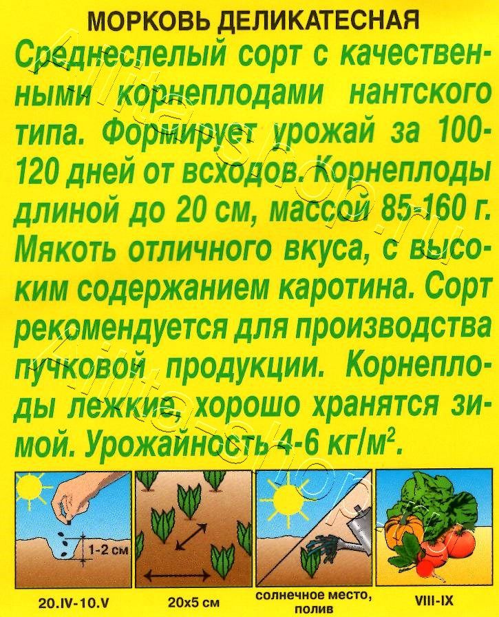 Морковь Деликатесная 2г