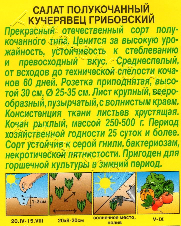 Салат Кучерявец грибовский 0,5г