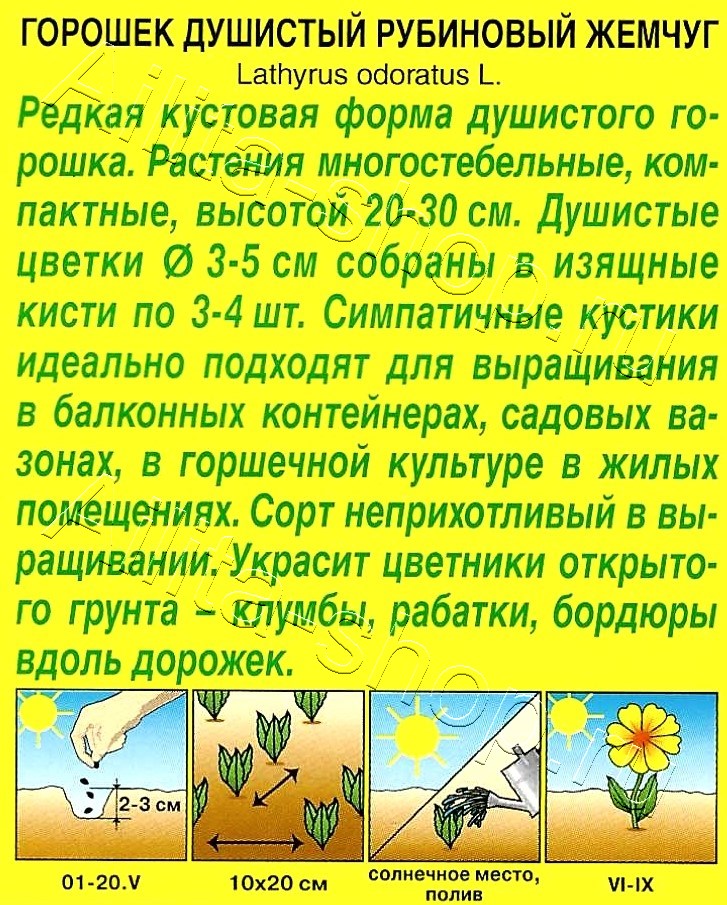 Горошек душистый Рубиновый жемчуг 0,5г