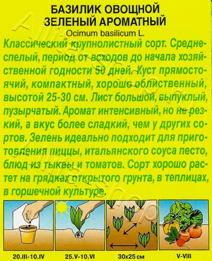 Базилик овощной Зеленый ароматный 0,3г