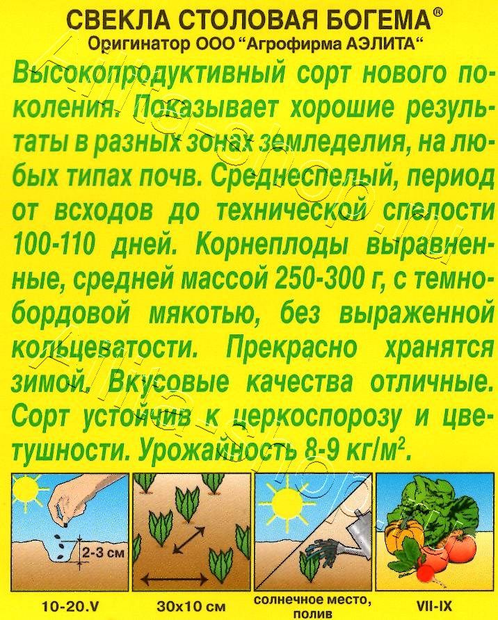 Свекла столовая Богема 3г