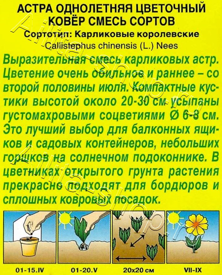 Астра Цветочный ковер, смесь окрасок 0,2г