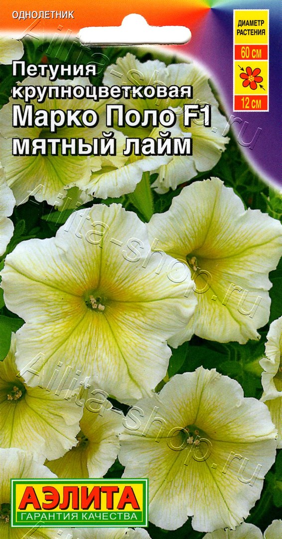 Петуния Марко Поло F1 мятный лайм 7шт