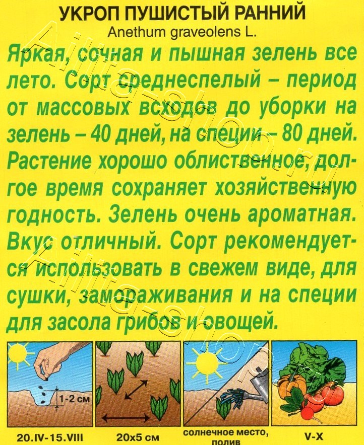 Укроп Пушистый ранний 3г