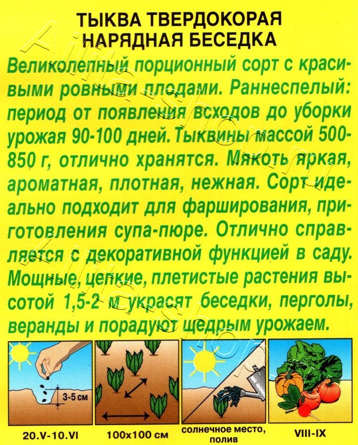 Тыква твердокорая Нарядная беседка 2г