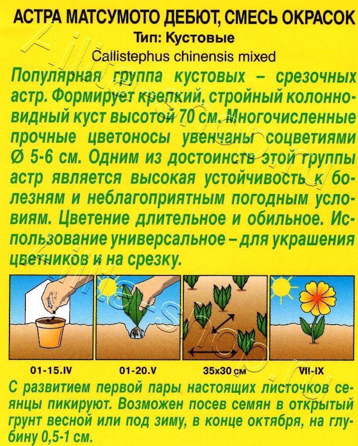 Астра Матсумото Дебют, смесь окрасок 0,2г