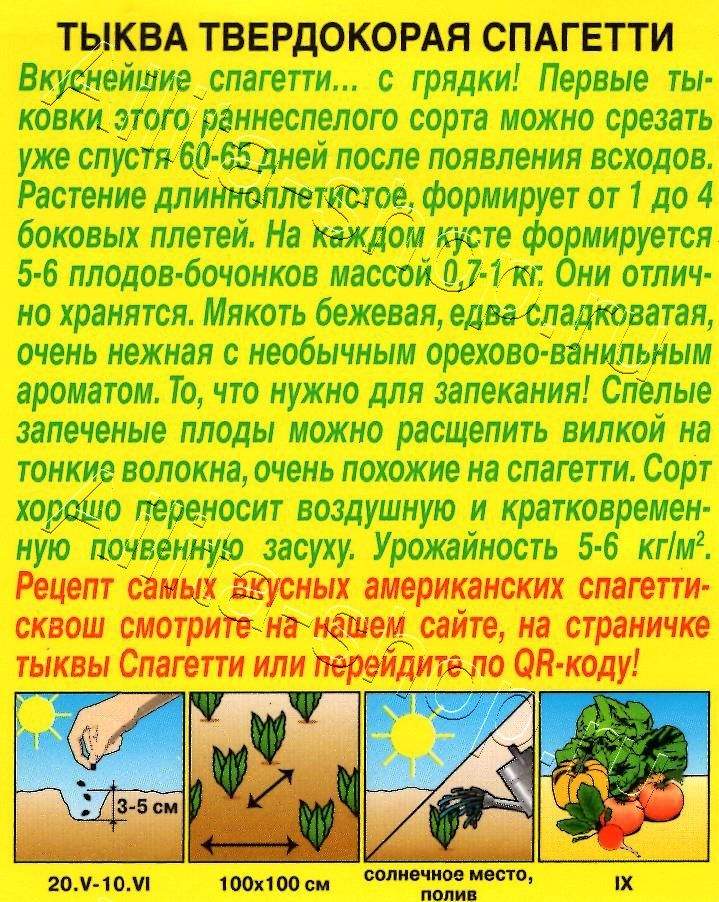 Тыква твердокорая Спагетти 1г