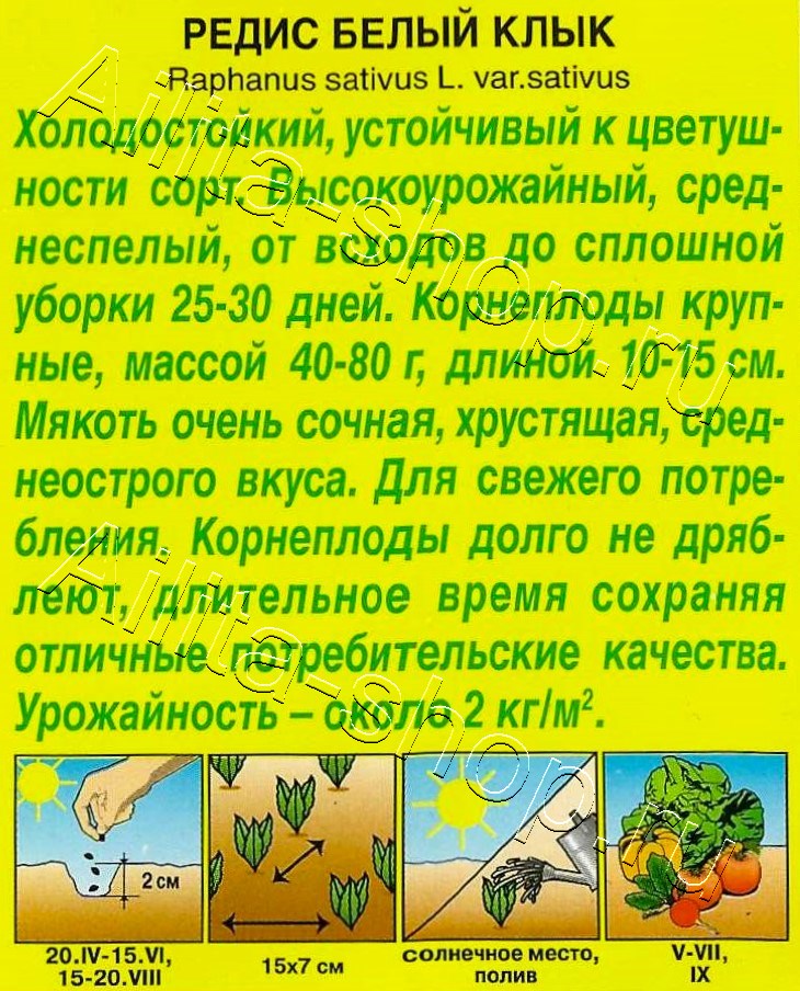 Редис Белый клык 2г