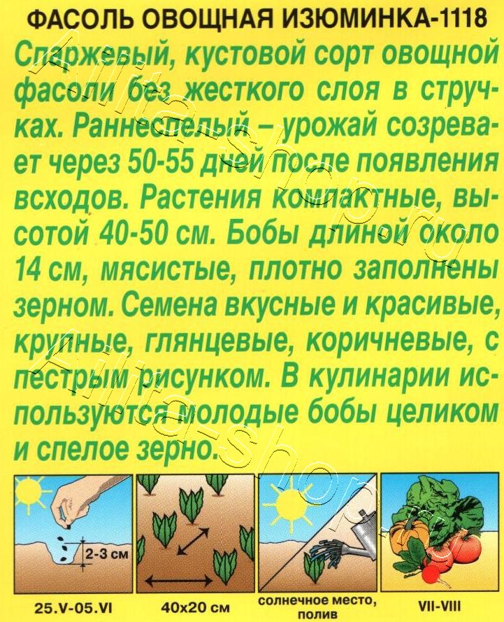 Фасоль овощная Изюминка-1118 5г