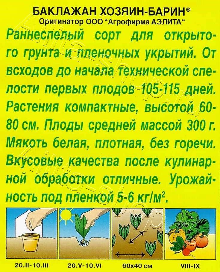 Баклажан Хозяин-барин 0,3г