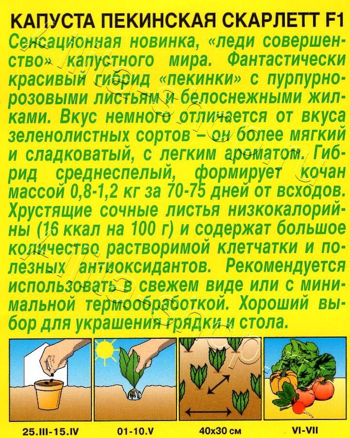 Капуста Пекинская Скарлетт F1 5шт