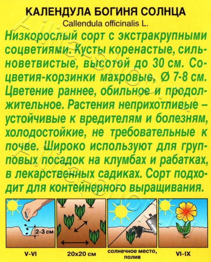 Календула Богиня солнца 0,3г