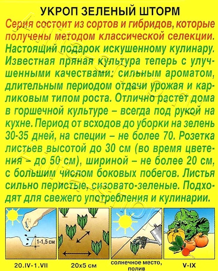 Укроп Зеленый шторм 1г