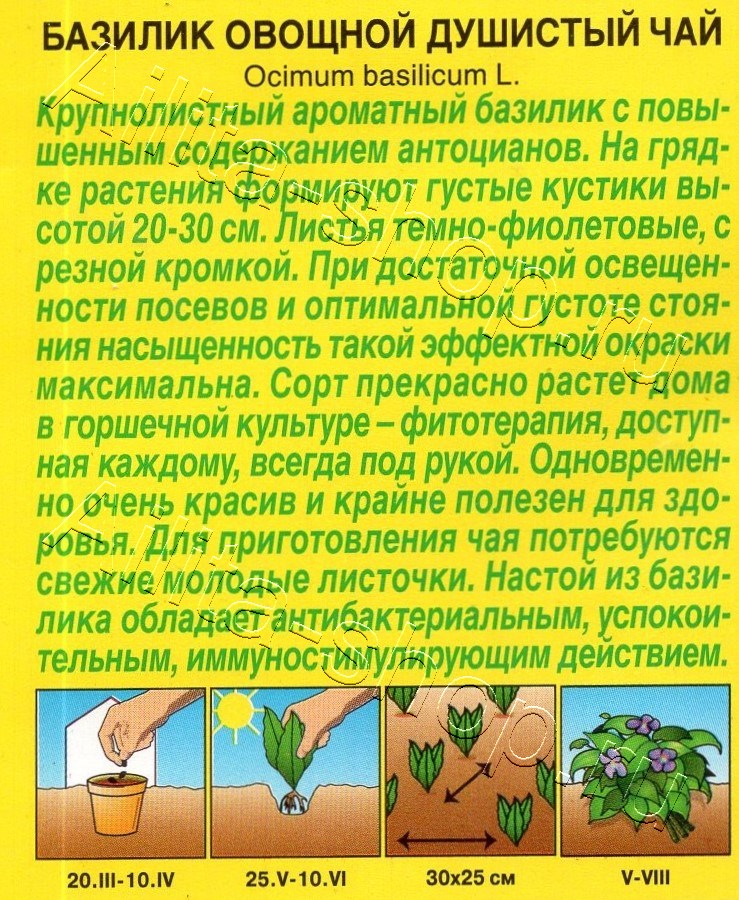 Базилик овощной Душистый чай 0,1г