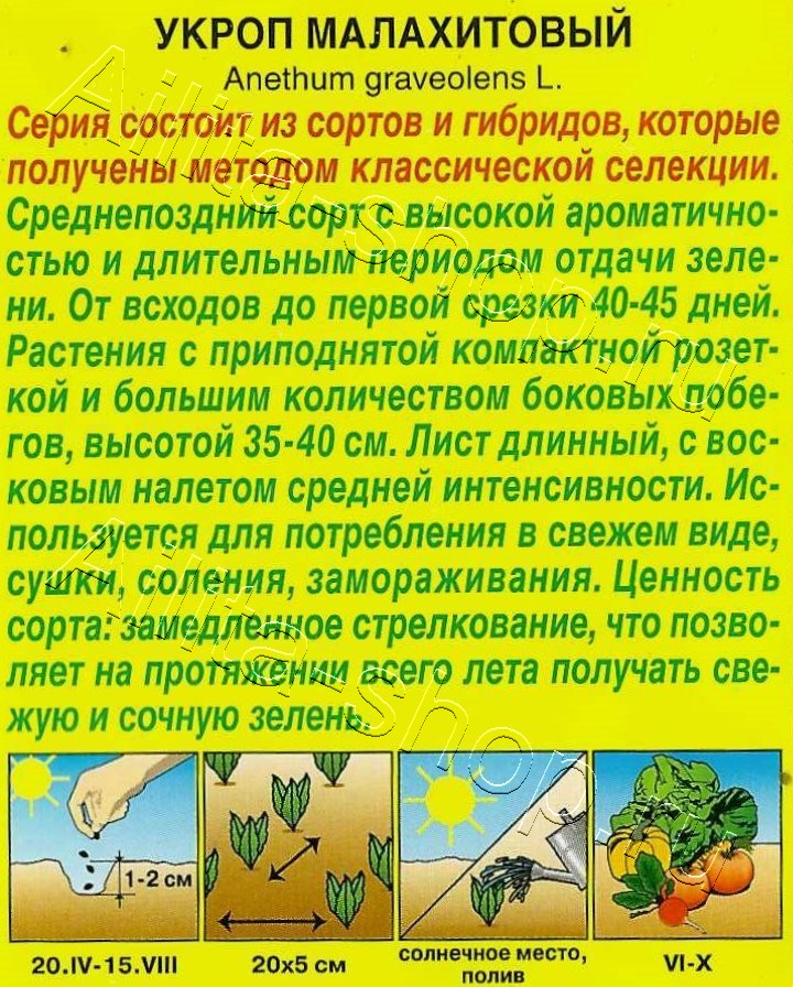 Укроп Малахитовый 2г