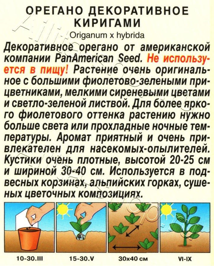 Орегано декоративное Киригами 10шт