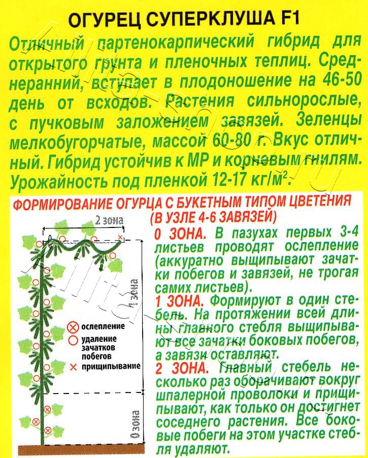 Огурец Суперклуша F1 10шт