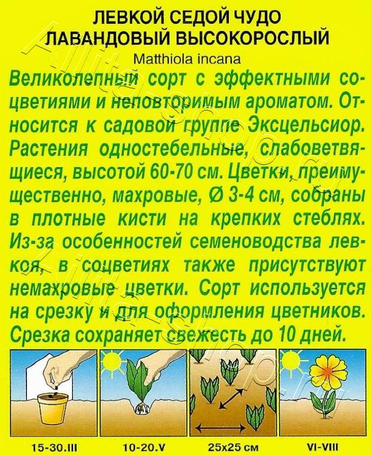 Левкой высокорослый Чудо лавандовый 0,1г