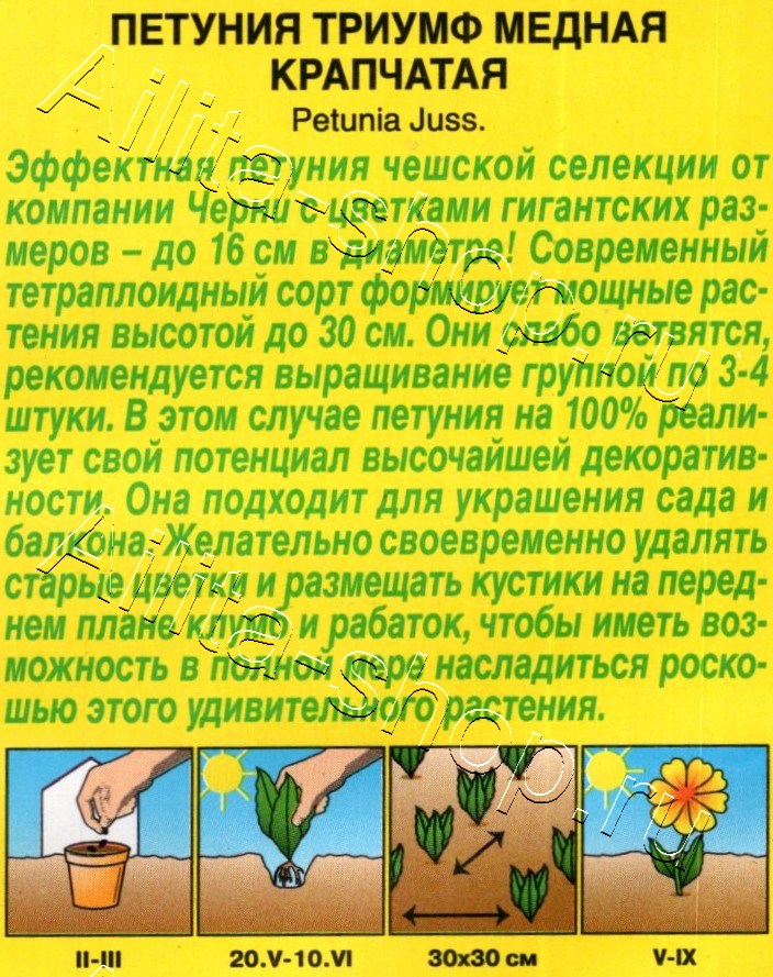 Петуния Триумф медная крапчатая крупноцветковая 7шт