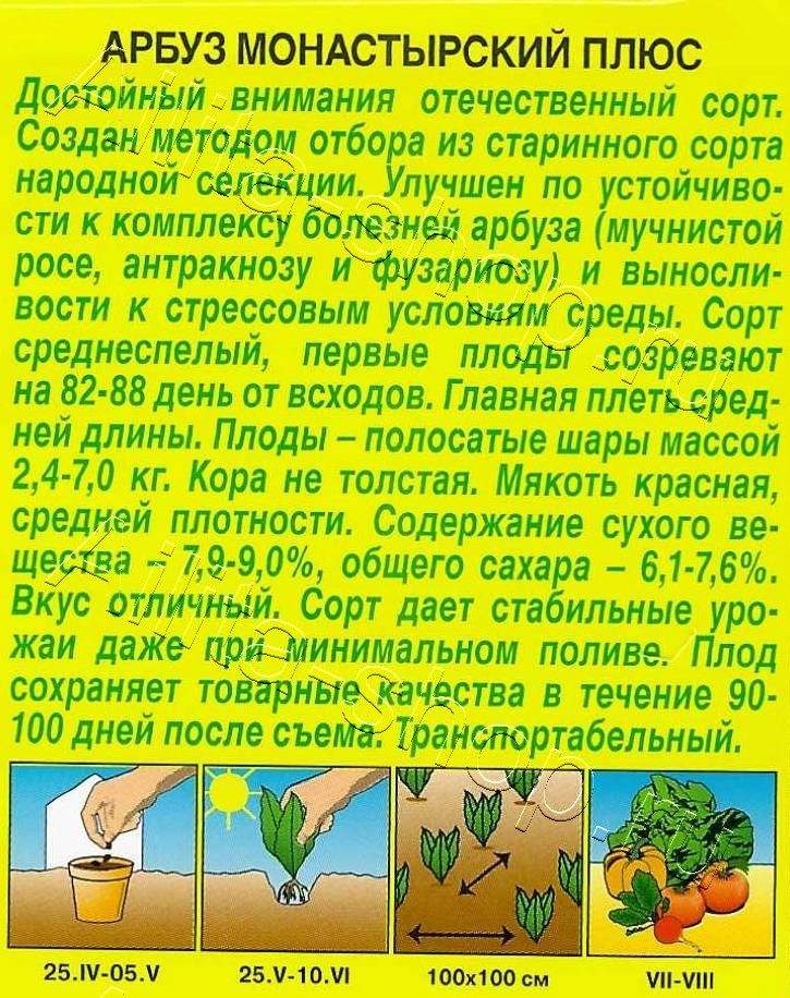 Арбуз Монастырский плюс 1г