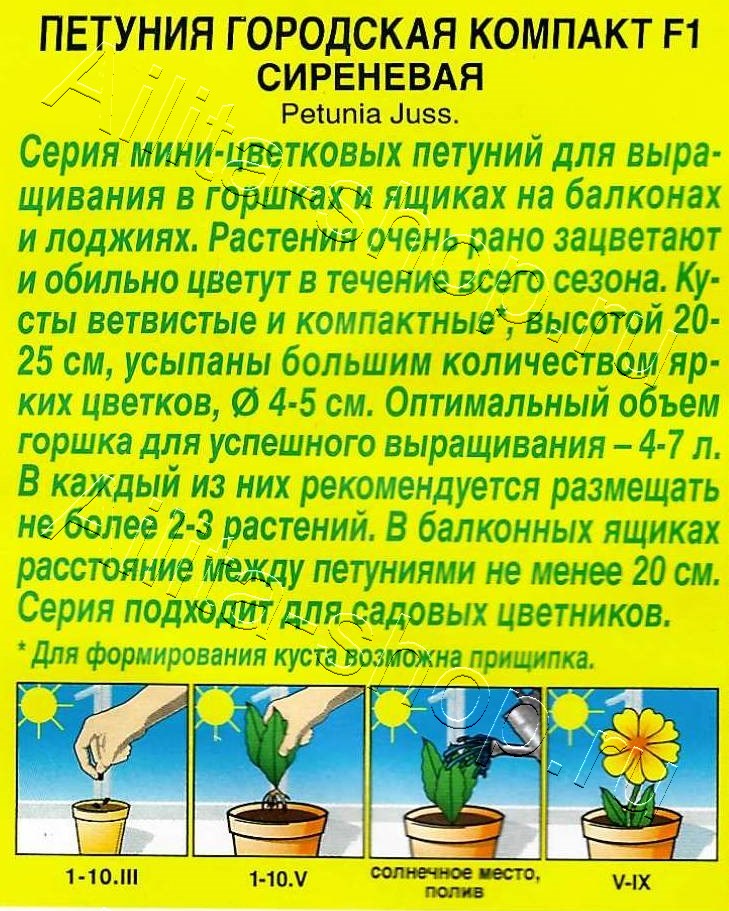 Петуния Городская компакт F1 сиреневая 7шт